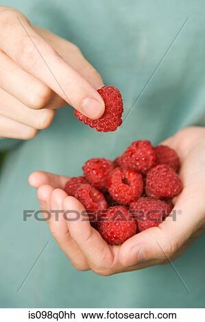 Woman holding fresh raspberries View Large Photo Image Stock Image - Woman holding fresh raspberries. Fotosearch