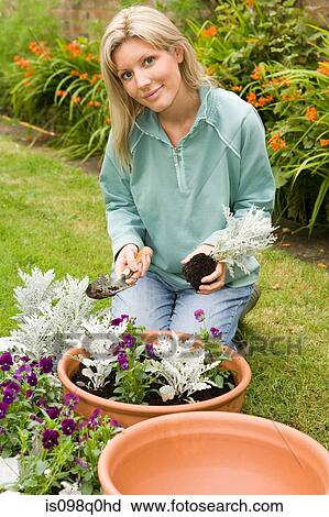 Young woman gardening View Large Photo Image Stock Image - Young woman gardening. Fotosearch