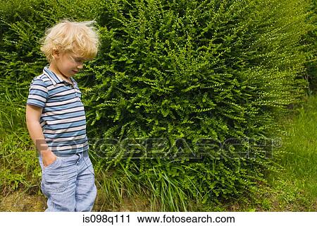 A boy walking past a bush View Large Photo Image Stock Image - A boy walking past a bush. Fotosearch