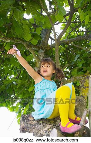 A girl climbing a tree View Large Photo Image Stock Photo - A girl climbing a tree. Fotosearch