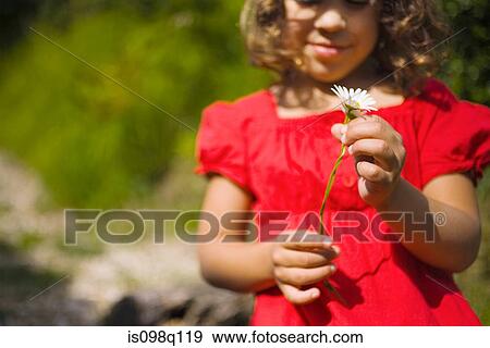A girl holding a daisy View Large Photo Image Stock Photo - A girl holding a daisy. Fotosearch