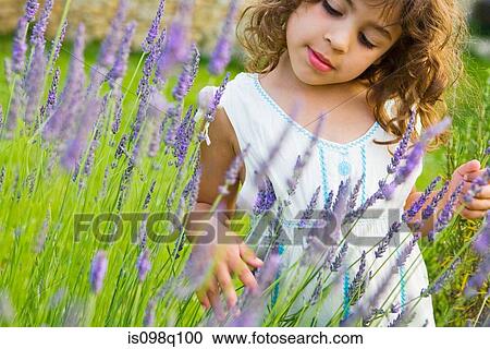 Stock Image - A girl looking at lavender. Fotosearch