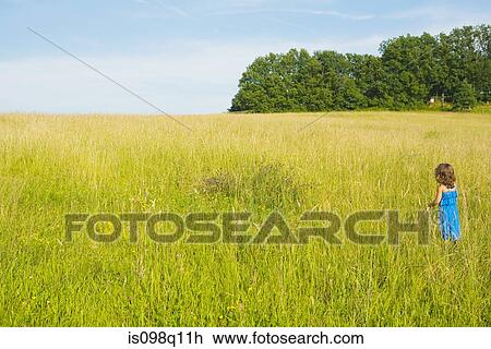 A girl standing in a field of long grass View Large Photo Image Stock Image - A girl standing in a field of long grass. Fotosearch