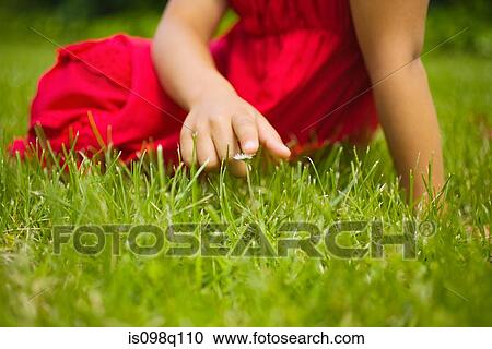 A girl touching a daisy View Large Photo Image Stock Image - A girl touching a daisy. Fotosearch