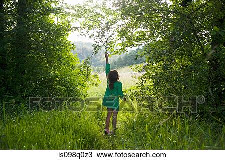A girl trying to reach for a branch on a tree View Large Photo Image Stock Image - A girl trying to reach for a branch on a tree. Fotosearch