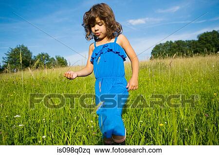 A girl walking through a field of long grass View Large Photo Image Stock Photography - A girl walking through a field of long grass. Fotosearch