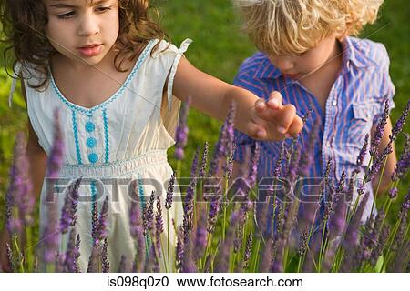 Stock Image - Boy and girl looking at lavender . Fotosearch