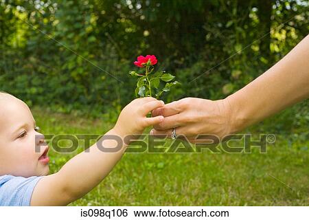 Mother handing son a flower View Large Photo Image Stock Photograph - Mother handing son a flower. Fotosearch