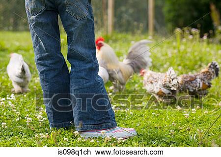 Stock Image - A girl and chickens. Fotosearch