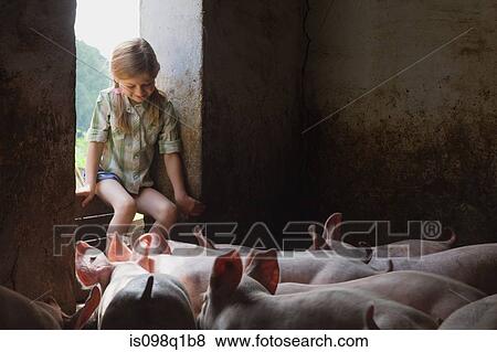 Stock Photo - A girl and pigs in a pigsty. Fotosearch