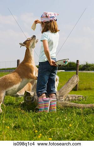 Picture - A girl feeding a goat. Fotosearch