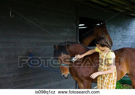 Stock Photo - A girl grooming a horse. Fotosearch