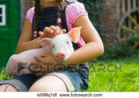 Stock Image - A girl holding a piglet. Fotosearch