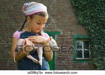 A girl holding a piglet View Large Photo Image Stock Photography - A girl holding a piglet. Fotosearch