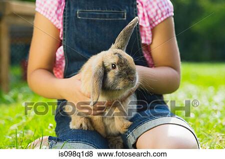 Stock Photo - A girl holding a rabbit. Fotosearch