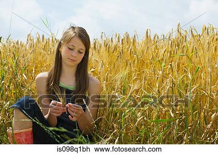 A girl sitting in a corn field View Large Photo Image Stock Image - A girl sitting in a corn field. Fotosearch