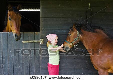 A girl stroking a horse View Large Photo Image Stock Photo - A girl stroking a horse. Fotosearch