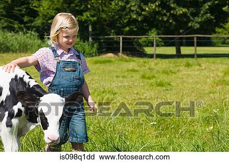 A girl walking with a calf View Large Photo Image Stock Image - A girl walking with a calf. Fotosearch