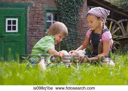 Stock Image - Brother and sister playing with piglets. Fotosearch