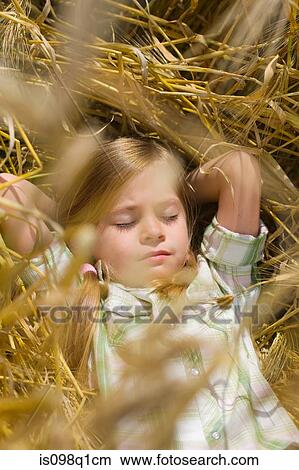 Girl sleeping in a corn field View Large Photo Image Picture - Girl sleeping in a corn field. Fotosearch