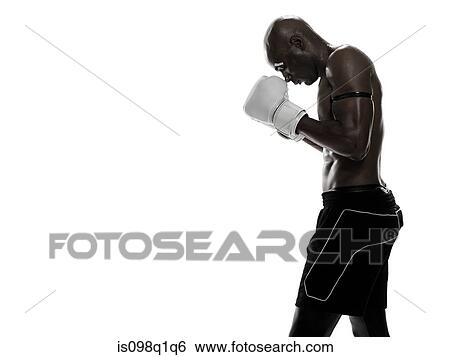 Boxer View Large Photo Image Stock Photograph - Boxer. Fotosearch