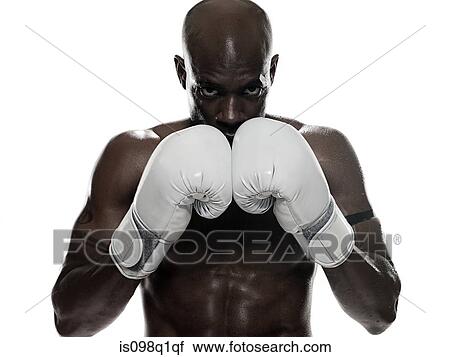 Portrait of a boxer View Large Photo Image Stock Image - Portrait of a boxer. Fotosearch
