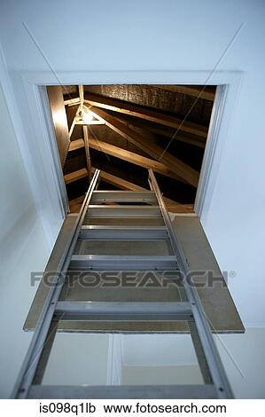 Ladder leading up to the loft View Large Photo Image Stock Image - Ladder leading up to the loft. Fotosearch
