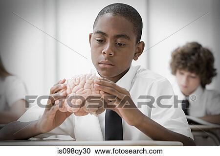 Boy with model of brain View Large Photo Image Stock Image - Boy with model of brain. Fotosearch