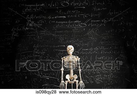 Skeleton in front of blackboard View Large Photo Image Stock Photo - Skeleton in front of blackboard. Fotosearch