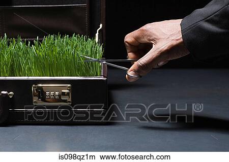 Person cutting grass in briefcase View Large Photo Image Picture - Person cutting grass in briefcase. Fotosearch