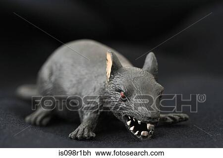 Toy rat View Large Photo Image Stock Image - Toy rat. Fotosearch