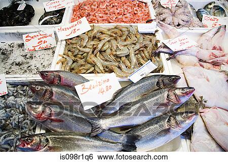 Fish market View Large Photo Image Stock Photograph - Fish market. Fotosearch