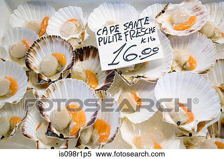 Stock Photography - Scallops on a market stall. Fotosearch