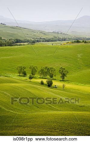 Stock Photography - Tuscany landscape. Fotosearch