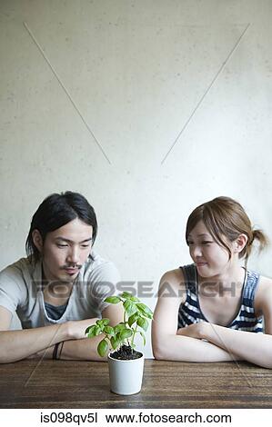 Stock Image - Young couple looking at plant. Fotosearch