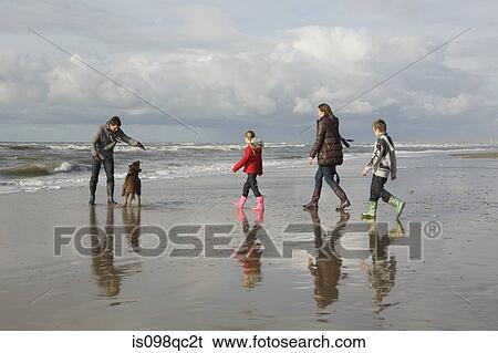 Family and dog by the sea View Large Photo Image Stock Photograph - Family and dog by the sea. Fotosearch