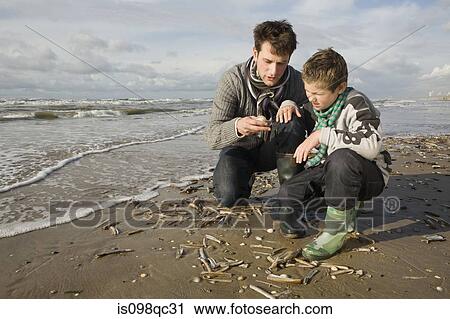 Father and son by the sea View Large Photo Image Stock Image - Father and son by the sea. Fotosearch