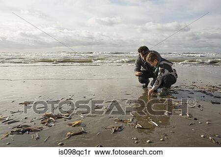 Father and son by the sea View Large Photo Image Stock Photography - Father and son by the sea. Fotosearch