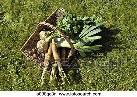 Vegetables in basket View Large Photo Image Picture - Vegetables in basket. Fotosearch