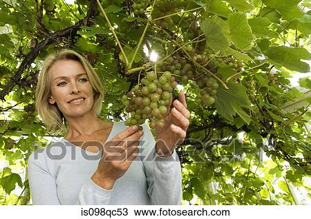 Woman and grapes View Large Photo Image Stock Image - Woman and grapes. Fotosearch