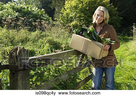 Woman holding box of vegetables View Large Photo Image Stock Photo - Woman holding box of vegetables. Fotosearch