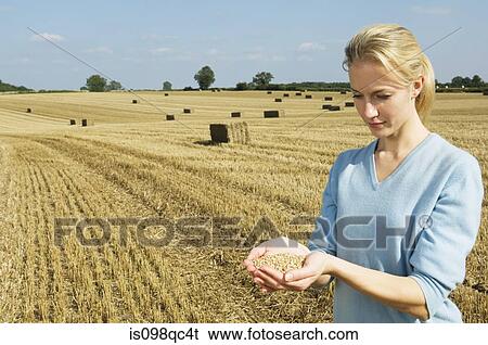Stock Photograph - Woman holding grains of wheat. Fotosearch