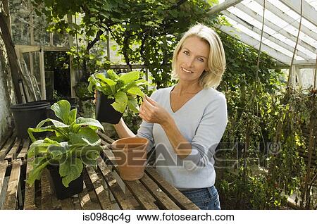 Woman in greenhouse with plants View Large Photo Image Stock Image - Woman in greenhouse with plants. Fotosearch