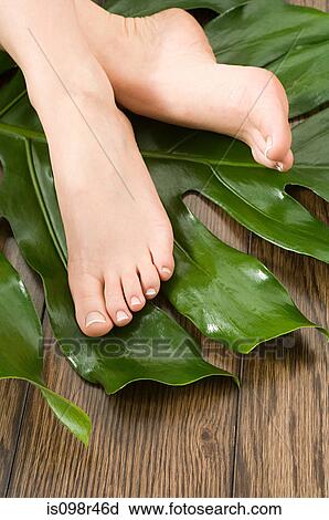 Female feet on leaf View Large Photo Image Stock Image - Female feet on leaf. Fotosearch