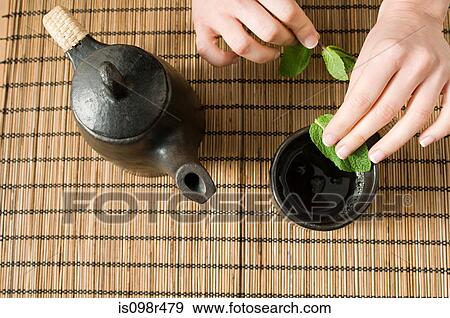 Making mint tea View Large Photo Image Stock Photo - Making mint tea. Fotosearch