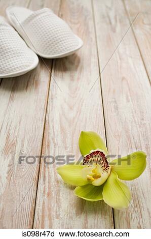 Stock Image - Orchid flower and slippers. Fotosearch