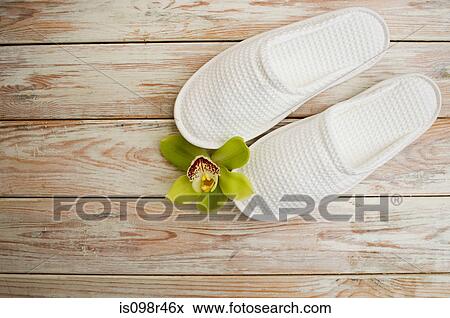 Orchid flower and slippers View Large Photo Image Stock Photo - Orchid flower and slippers. Fotosearch