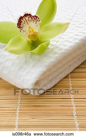 Orchid flower on towel View Large Photo Image Stock Image - Orchid flower on towel. Fotosearch