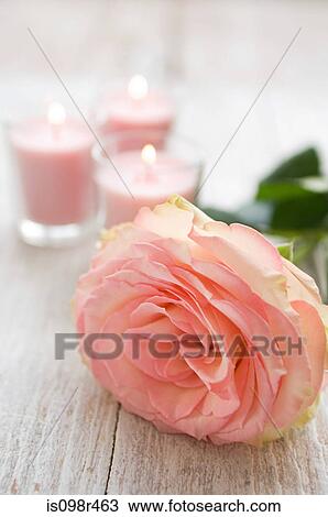 Rose and candles View Large Photo Image Stock Image - Rose and candles. Fotosearch