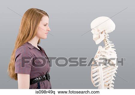 Girl looking at skeleton View Large Photo Image Stock Photography - Girl looking at skeleton. Fotosearch